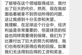 定结如何避免债务纠纷？专业追讨公司教您应对之策